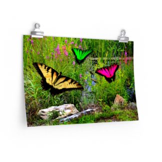 Colorful Butterflies Over Pond Butterfly Poster Print