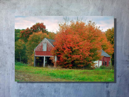 Old Red Barn In Autumn Poster Print