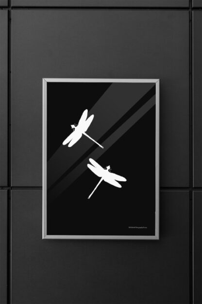 WHITE DRAGONFLIES Wall Poster