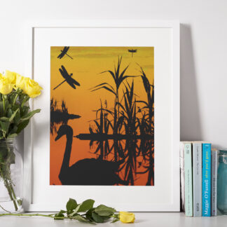 SWAN AT SUNSET Nature Poster